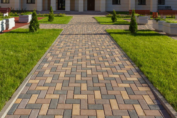 Best Driveway Paving Contractor  in Welby, CO